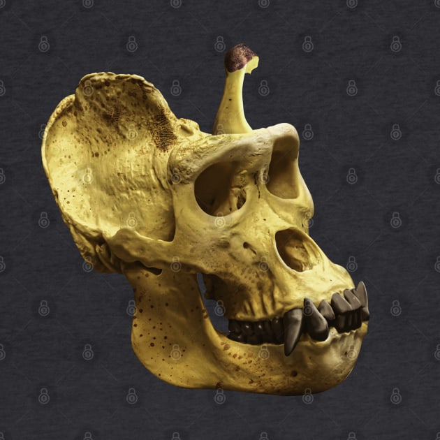 Gorilla banana skull by Corvons